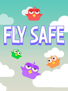 Fly Safe